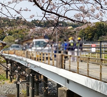 龍巌淵の桜[令和6年(2024年)4月2日]