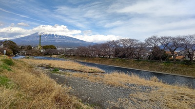 龍巌淵の桜[令和7年(2025年)3月18日]