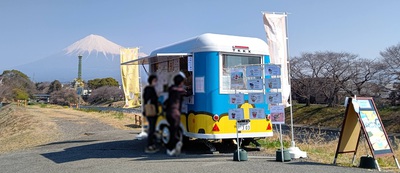 龍巌淵の桜[令和7年(2025年)3月22日]