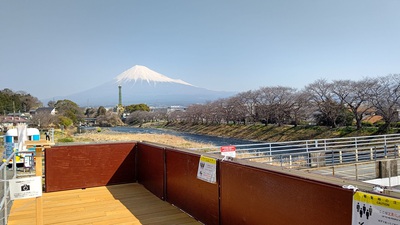 龍巌淵の桜[令和7年(2025年)3月22日]