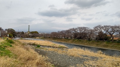 龍巌淵の桜[令和7年(2025年)3月24日]