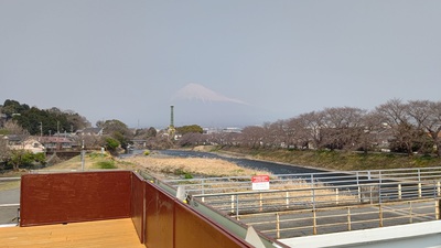 龍巌淵の桜[令和7年(2025年)3月26日]
