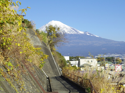 宝塔の坂から見た本日の富士山です。