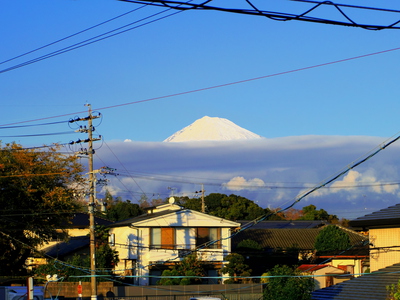 やっと顔を出し富士山です！ってもう夕方ですけど・・・