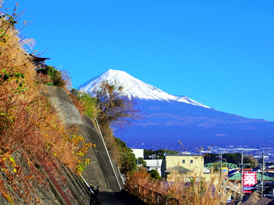 宝塔の坂にて