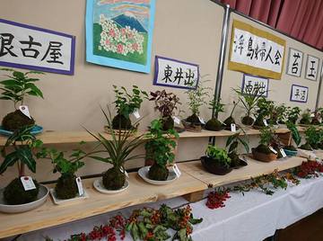 秋土用、立冬、ヨガ。