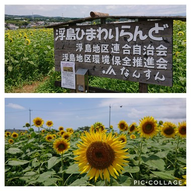 8月のヨガの日程 8月のヨガの日程
