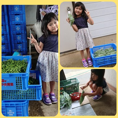 子供ヨガと私の夏休み
