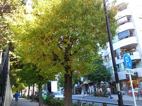 陰陽のバランスをととのえる