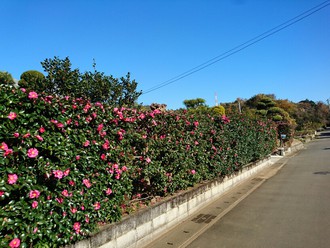 自宅ヨガ教室は冬の装い。冬は「腎・膀胱」を大切にする季節。