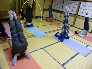 声1: 75歳若さの秘訣は家でも運動することよ