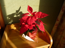 メリー クリスマス