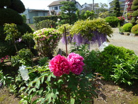 花にあふれる季節