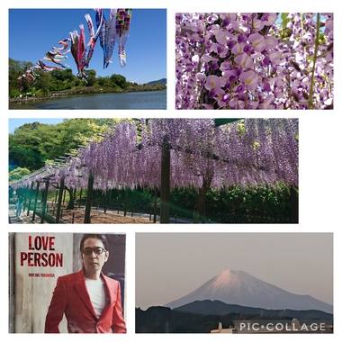 花、満開！