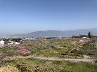春のお散歩と筋肉痛と… 2022/04/11 14:05:21