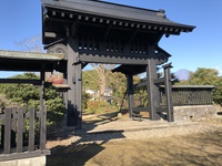 感覚が研ぎ澄まされるような感覚…？ 2020/11/16 08:47:19