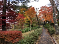 文化の日、良い天気に恵まれましたね！ 2020/11/04 08:01:36