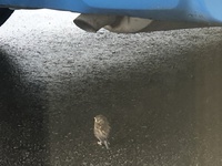 なんとなく重怠さを感じていませんか？ 2021/05/19 08:58:24