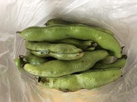 脳内クッキング 2018/05/22 15:11:33