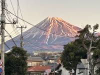 明日の12月21日(水曜日)は午後のみの営業となります 2022/12/20 07:51:07