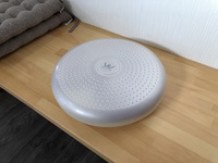 バランスクッションでトレーニング 2020/11/28 08:27:20