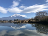 年末年始の予定について 2021/12/13 11:21:58