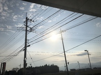 新成人の皆様、おめでとうございます！ 2019/01/15 15:04:20