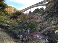 膝の痛み軽減しました！ 2020/11/30 08:56:56