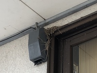 入り口上部、工事中です 2019/04/19 11:27:17