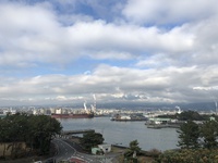 日の光で丈夫なカラダを 2020/12/07 10:48:27