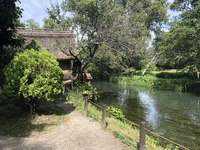 今日から通常です 2018/08/17 14:06:48