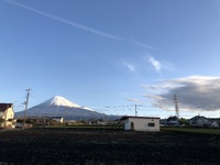 11月23日は勤労感謝の日！　本院もお休みさせていただきます。 2022/11/22 15:40:31