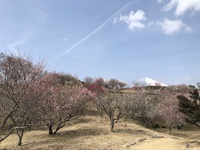 幾つになっても… 2022/03/14 08:31:35