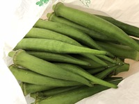 もうすぐ8月 2018/07/27 16:43:34