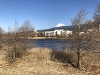 3月に入りましたね！ 2021/03/01 14:32:38