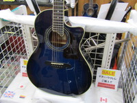 人気のブルーバーストカラーＰU搭載アコースティックギターが入荷しました