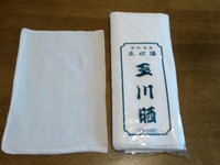 さらしを探して・・・