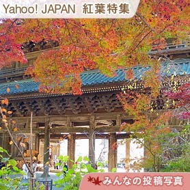 12月のyoga日程