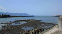 駿河湾