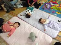 ＢＡＢＹちゃん達がセンセイです。