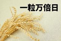 きょう（5/22）は「一粒万倍日」です。本日は「スーパーしんや様」（中野交差点）でお待ちしてま～す！！（13時～19時）