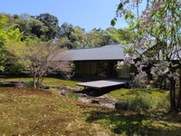 回遊式茶室、松韻亭を訪れました