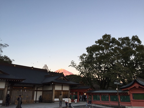 今年も宜しくお願い致します！