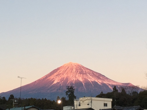 今年も宜しくお願い致します！