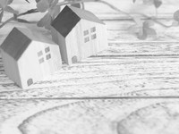 森の恋人は住宅？ 2019/01/11 22:44:11