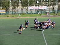 高校ラグビー予選会、選手は筋肉質！ 2017/11/27 22:37:06