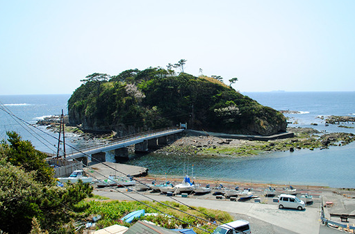7月23日(水)　磯観察会始まります。(須崎 恵比須島)