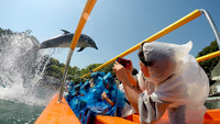 下田海中水族館 『夏休みの研究  救済企画』