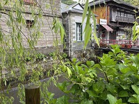 『南豆の野鳥写真展(旧澤村邸)』開催中！(無料)