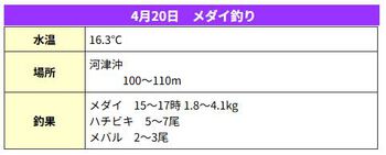 4/20（日）下田・須崎港　若宮丸　河津沖　メダイ